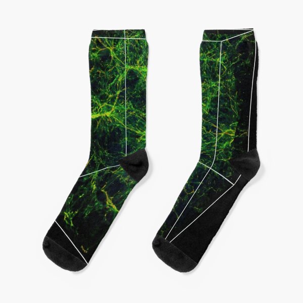 #Astronomy, #Cosmology, #AstroPhysics, #Universe, Exploring the Nature of the Inter- and Circum-galactic Media Socks