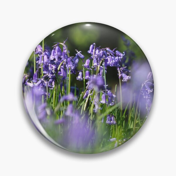 Item preview, Bluebell woods designed and sold by GreyFeatherPhot.