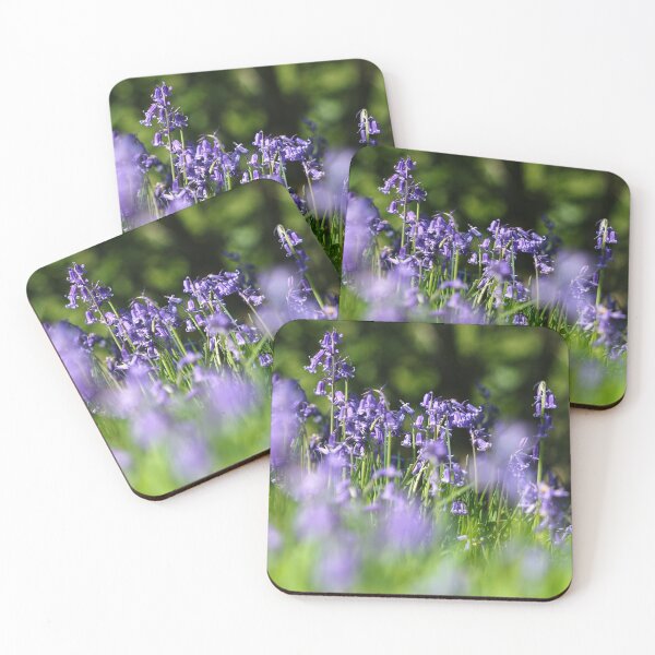 Item preview, Bluebell woods designed and sold by GreyFeatherPhot.