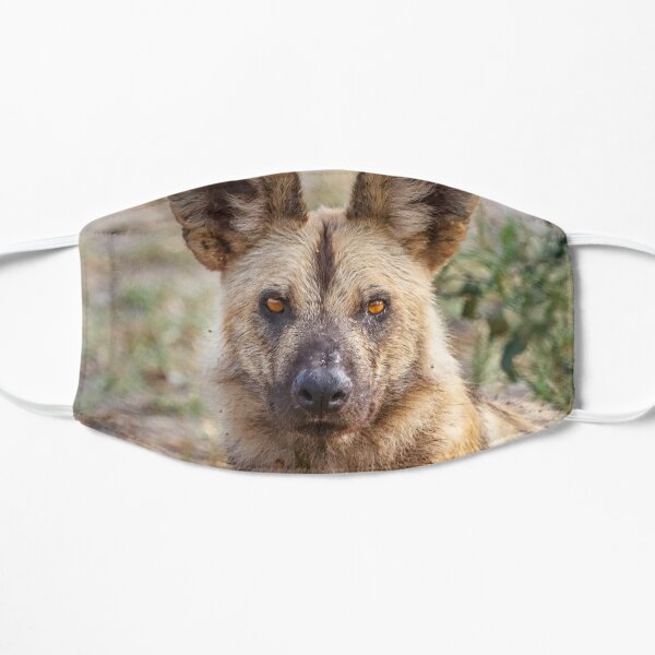 Face Of Dog Gifts Merchandise Redbubble - roblox wild savannah testing a flying african wild dog funny show for the lions