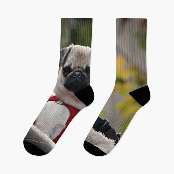 Item preview, Cute Pug in Brugge designed and sold by Yannik Hay.