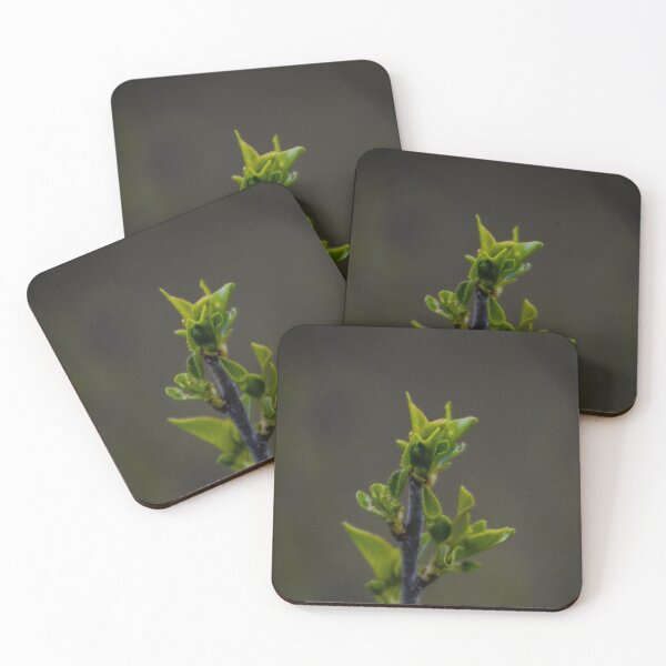 Item preview, New Growth Spring designed and sold by SRosuphotos.