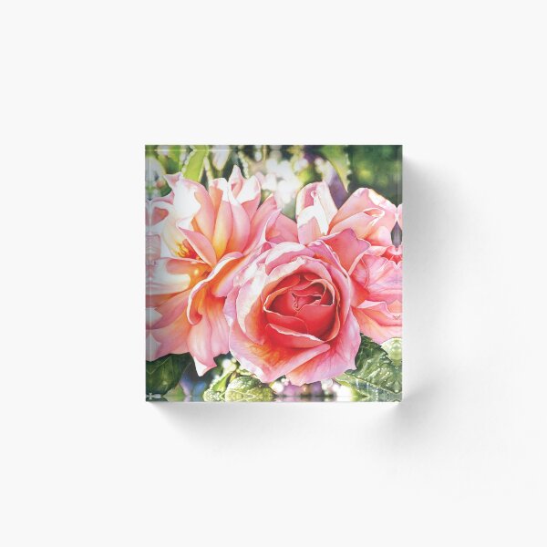 Rose #3 watercolor painting Acrylic Block