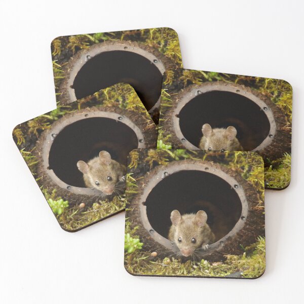Item preview, George the mouse in a log pile House - coconut shell house designed and sold by Simon-dell.