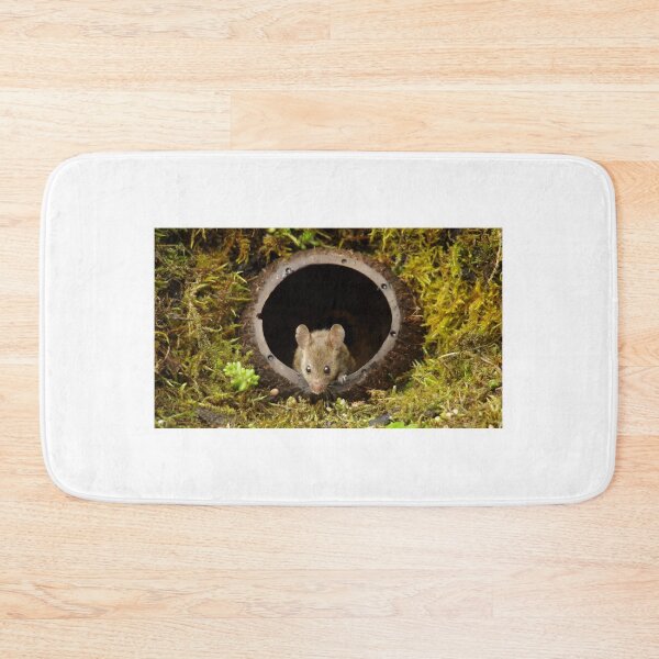 Item preview, George the mouse in a log pile House - coconut shell house designed and sold by Simon-dell.