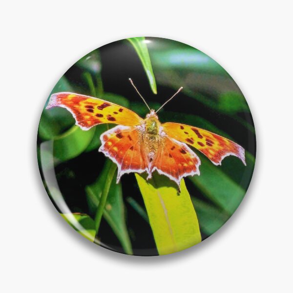 Item preview, vibrant butterfly designed and sold by Spiraleffects.
