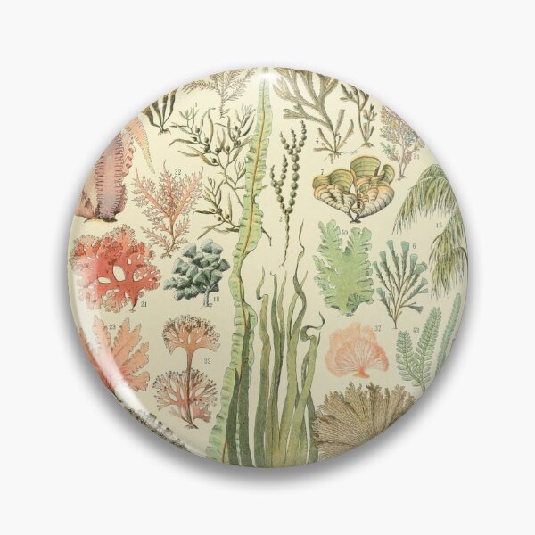 Item preview, vintage french algues poster designed and sold by ☆ .*｡･.