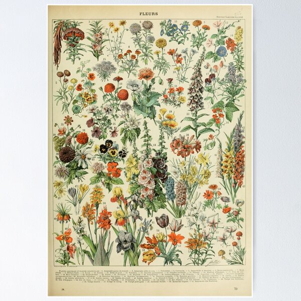Item preview, vintage french fleurs poster designed and sold by ☆ .*｡･.