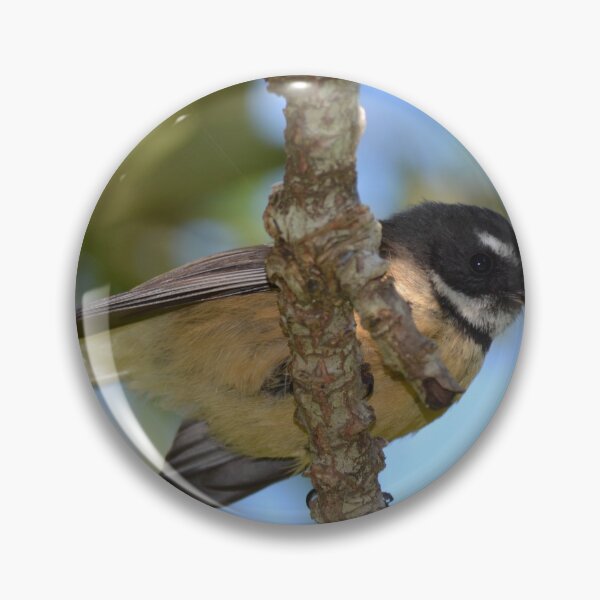Item preview, Friendly Fantail designed and sold by lizdomett.