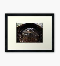 Snapping Turtle Framed Print