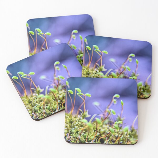 Item preview, Macro Moss designed and sold by LynyrdSky.