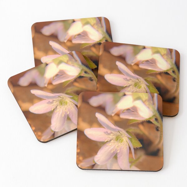 Item preview, Signs Of Spring designed and sold by LynyrdSky.