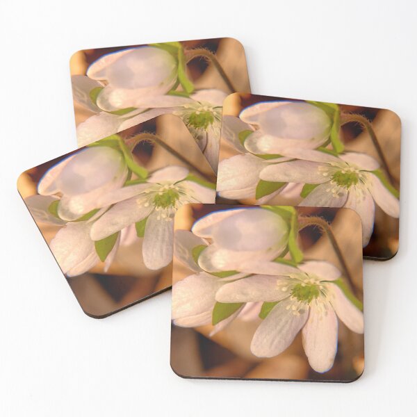 Item preview, Signs Of Spring 2 designed and sold by LynyrdSky.