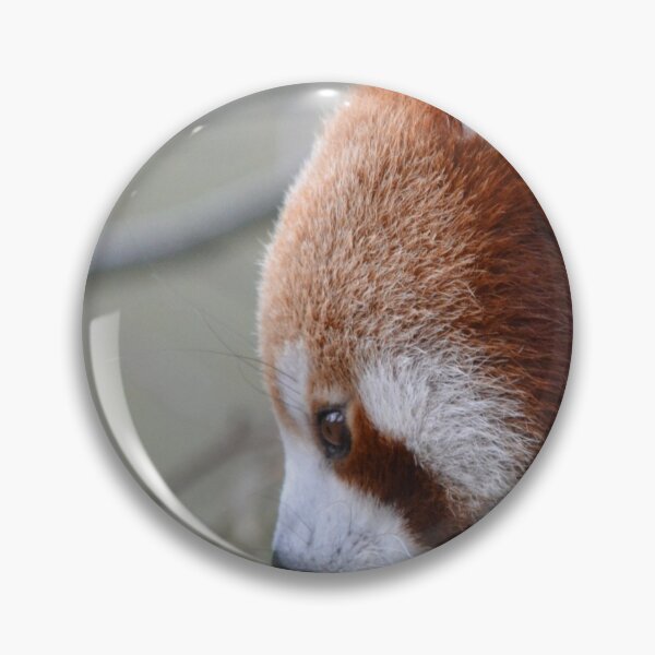 Item preview, Red panda up close designed and sold by lizdomett.