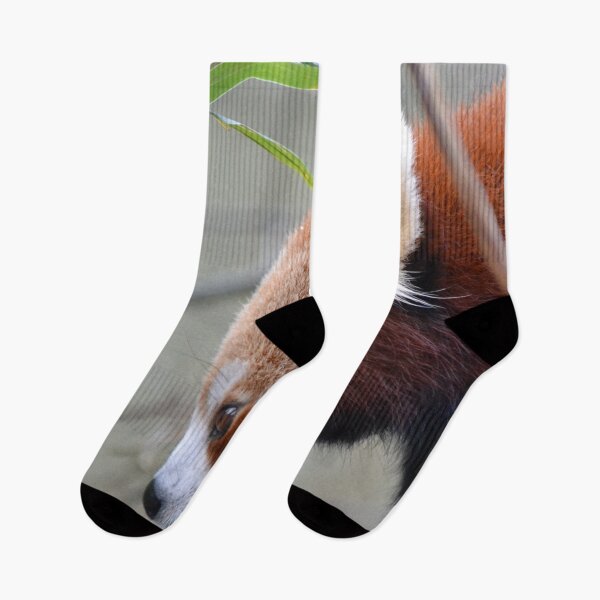 Item preview, Red panda up close designed and sold by lizdomett.