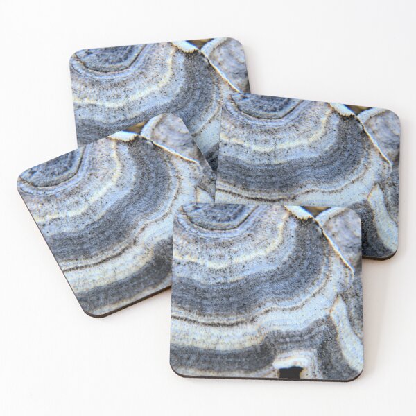 Item preview, Fungi Shells designed and sold by LynyrdSky.