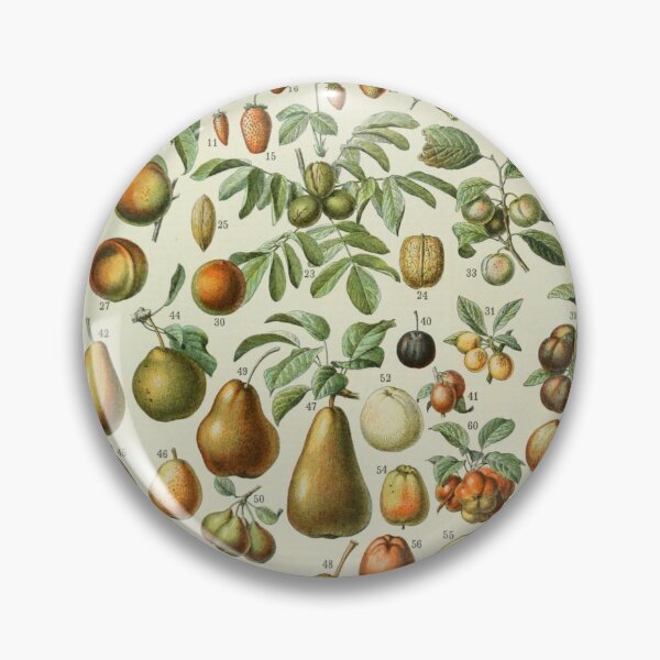 Aperçu de l'œuvre affiche de fruits français vintage créée et vendue par ☆ .*｡･.