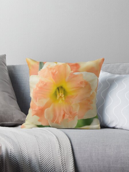 Item preview, Narcissus  'Vanilla Peach'  Daffodil  Division 11a Split-corona   designed and sold by Chris Burrows.