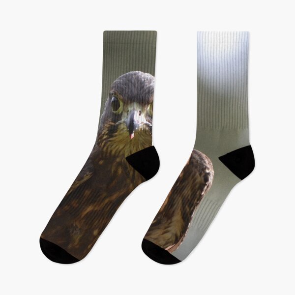 Item preview, NZ Falcon- looking straight at you designed and sold by lizdomett.