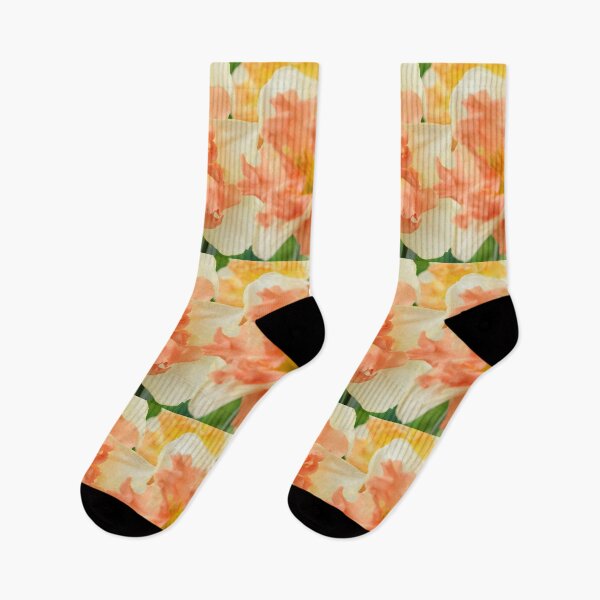 Item preview, Narcissus  'Vanilla Peach'  Daffodil  Division 11a Split-corona   designed and sold by Chris Burrows.