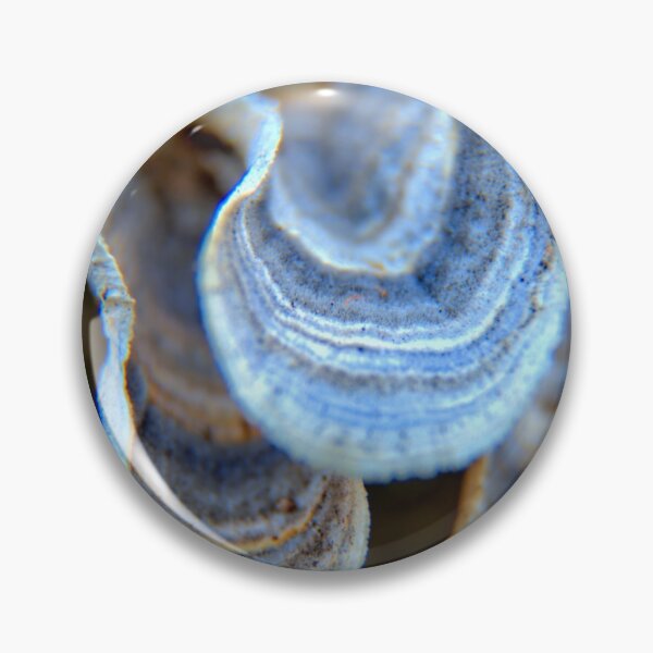 Item preview, Fungi Shells 2 designed and sold by LynyrdSky.