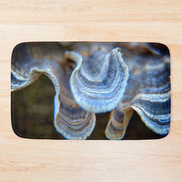 Item preview, Fungi Shells 2 designed and sold by LynyrdSky.