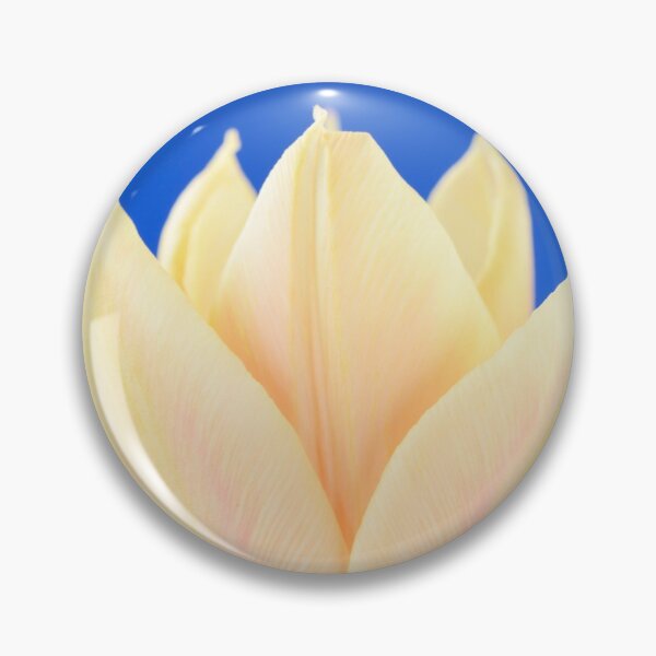 Item preview, Tulipa  'Fur Elise'  Tulip  Greigii Group  designed and sold by Chris Burrows.