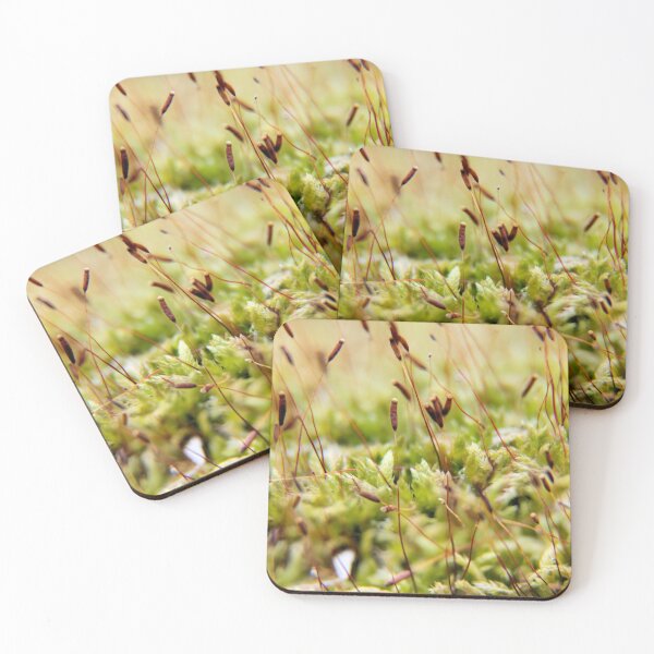 Item preview, Moss Bed 2 designed and sold by LynyrdSky.