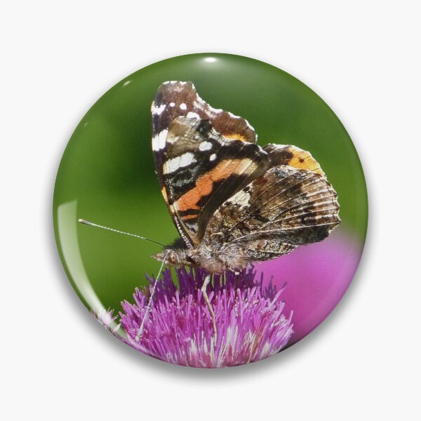 Item preview, Red Admiral Butterfly on Thistles designed and sold by Jan Palmer.