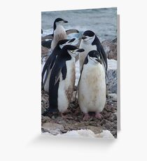 On a break Greeting Card