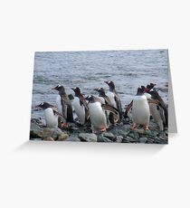 It's time for a swim Greeting Card