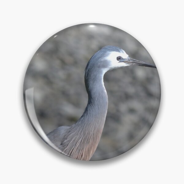Item preview, Heron on the sea wall designed and sold by lizdomett.