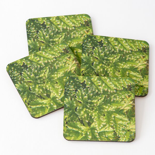 Item preview, Spring Frost designed and sold by LynyrdSky.