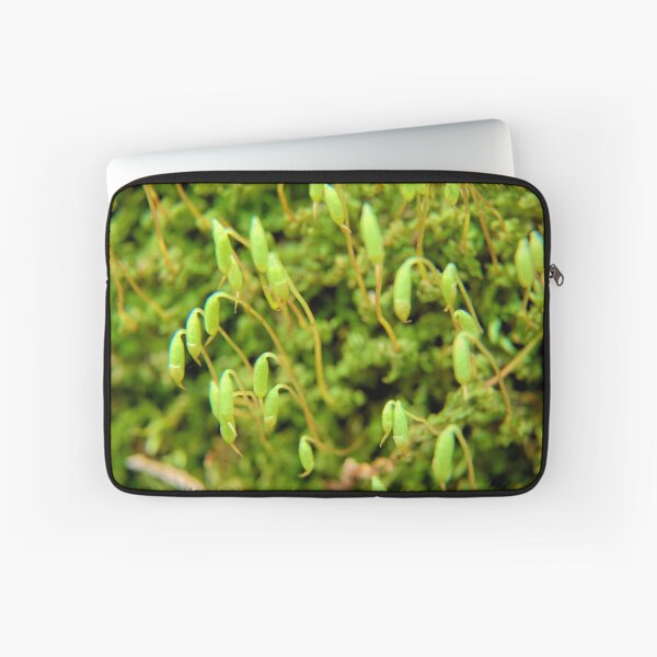 Item preview, Macro Moss 2 designed and sold by LynyrdSky.