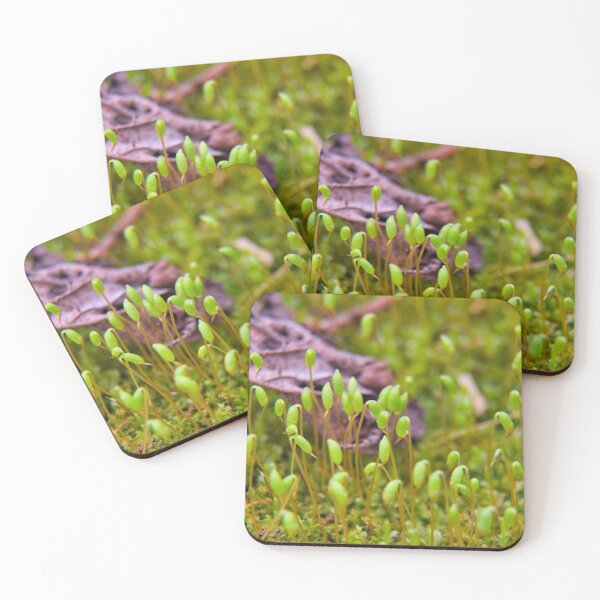 Item preview, Moss Blooms designed and sold by LynyrdSky.