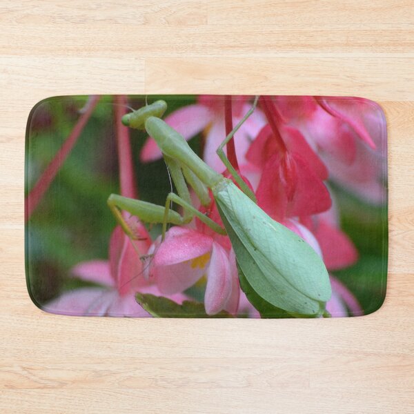 Item preview, Can you see me? designed and sold by lizdomett.