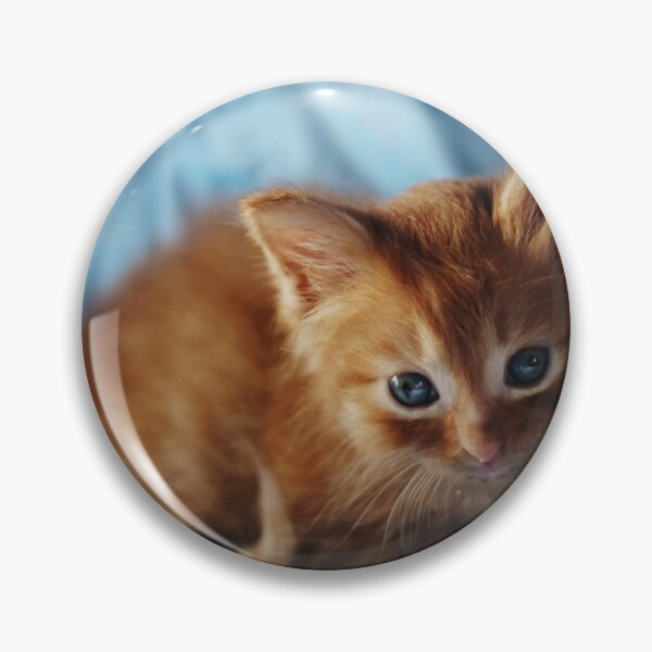 Item preview, kitten on a blue background designed and sold by FoxsJob.