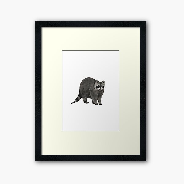Raccoon Framed Art Print