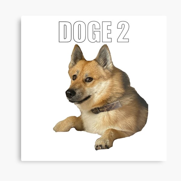 Doge Metal Prints Redbubble - tiny doge roblox