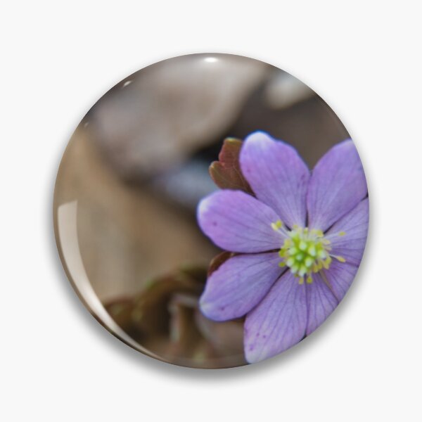 Item preview, Singular designed and sold by LynyrdSky.