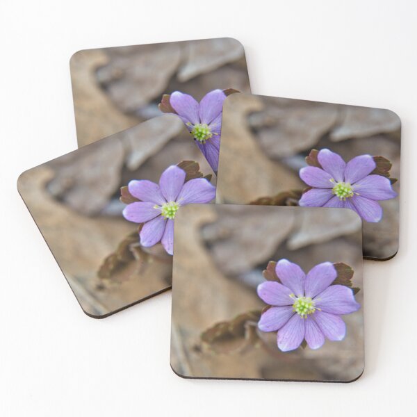 Item preview, Singular designed and sold by LynyrdSky.