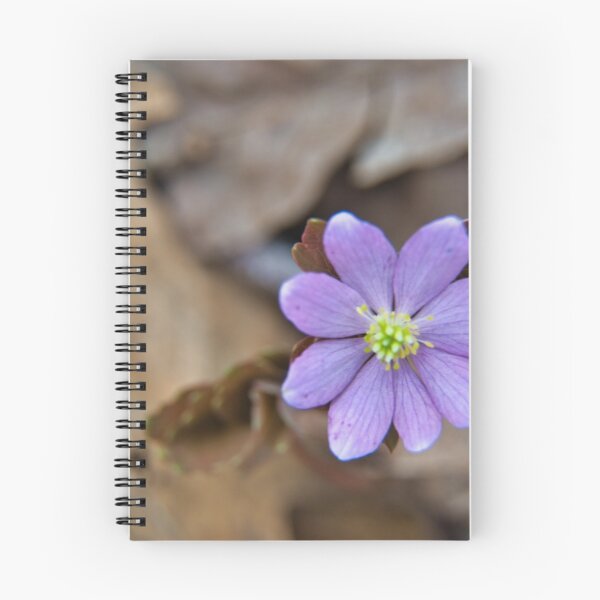 Item preview, Singular designed and sold by LynyrdSky.