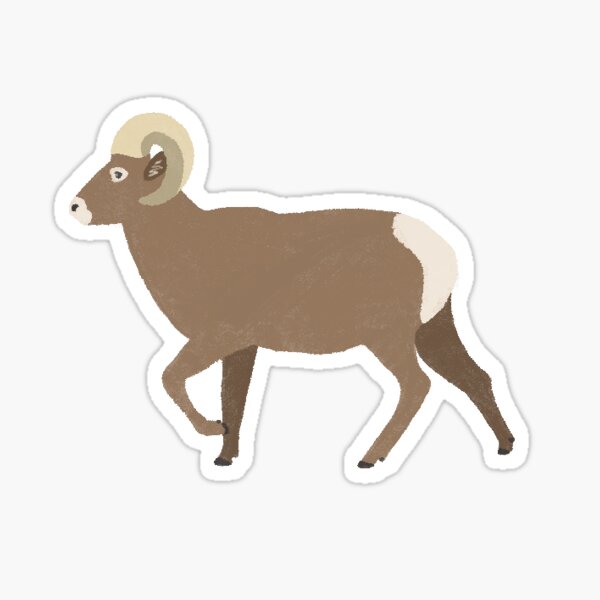 large dall sheep sticker Stickers, Labels & Tags Paper Paper & Party ...