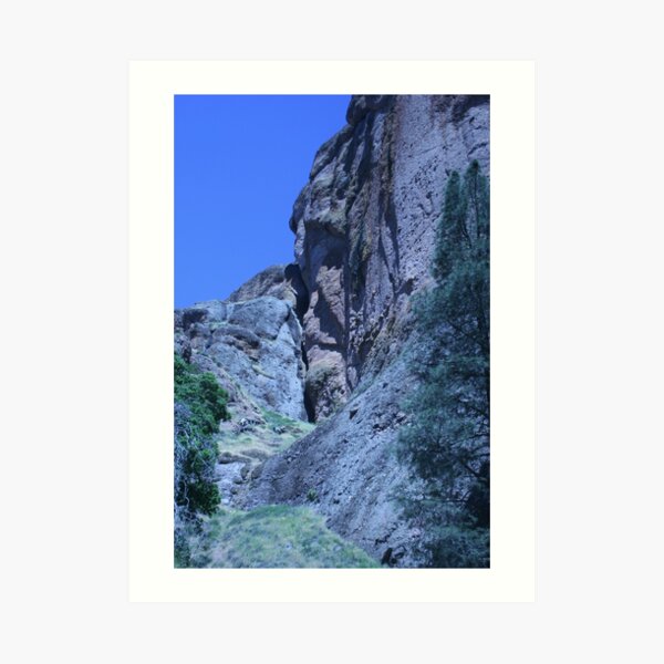 Green and Rock at Pinnacles National Monument Art Print