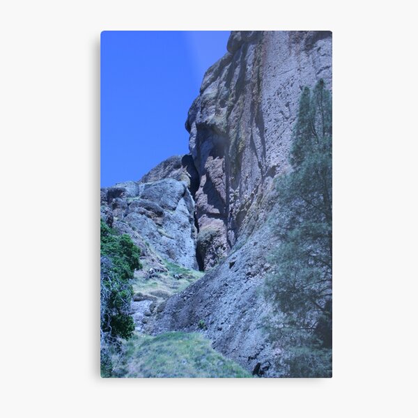 Green and Rock at Pinnacles National Monument Metal Print