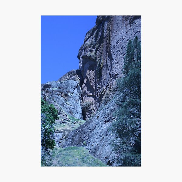 Green and Rock at Pinnacles National Monument Photographic Print