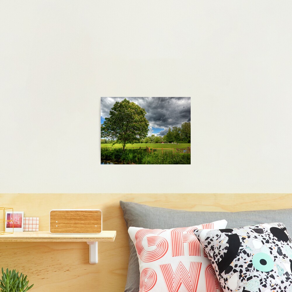 It Just isn't Cricket.. Photographic Print