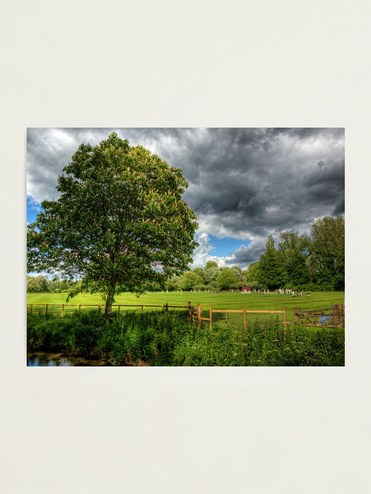 Alternate view of It Just isn't Cricket.. Photographic Print