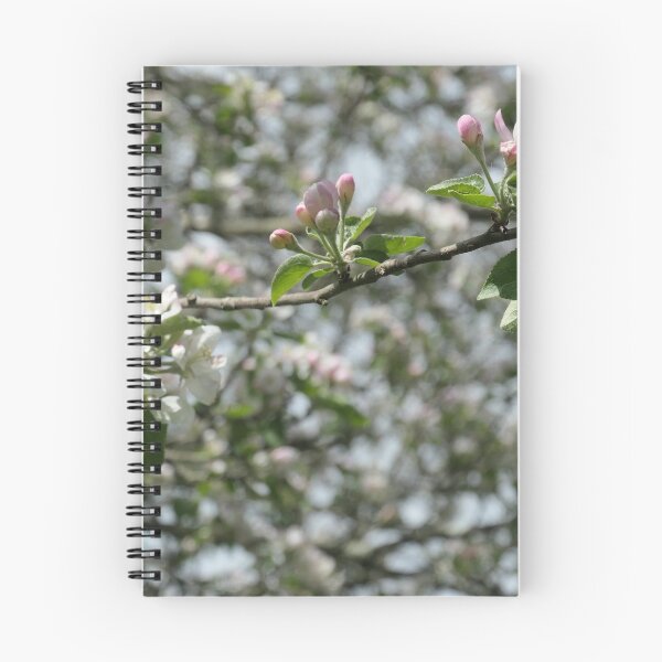 Item preview, Apple Tree Blossoms designed and sold by Peggy Feigenbaum.