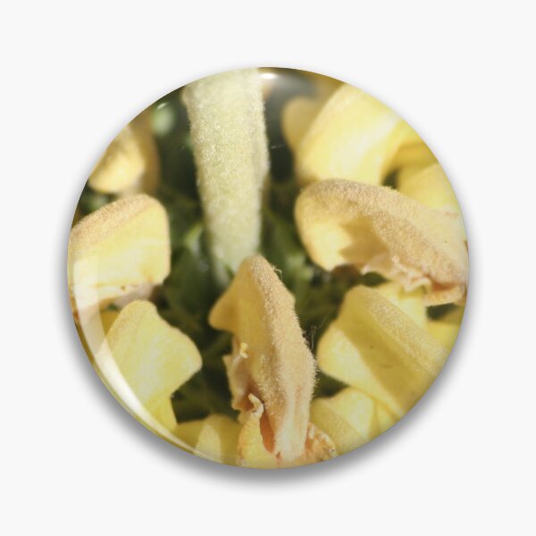 Item preview, The Yellow Bottom designed and sold by 3Spoke.
